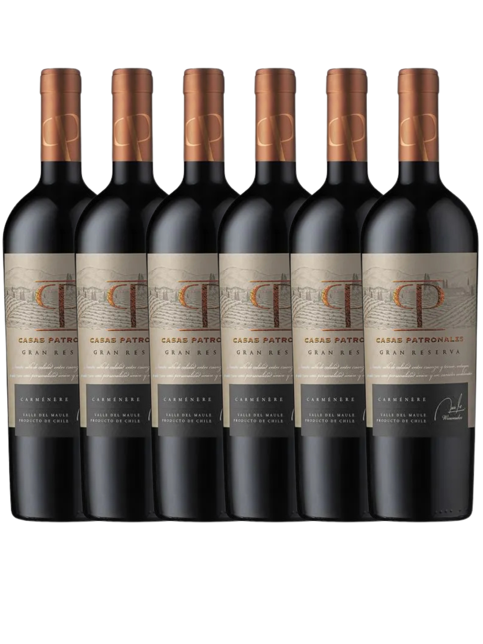 Pack 6x Vino Santa Cruz Gran Reserva Carmenere 750cc