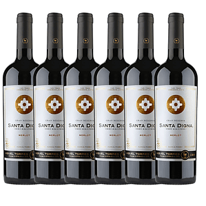 Pack X6 Vino Santa Digna Gran Reserva Merlot 750cc