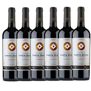 Pack X6 Vino Santa Digna Gran Reserva Carmenere 750cc