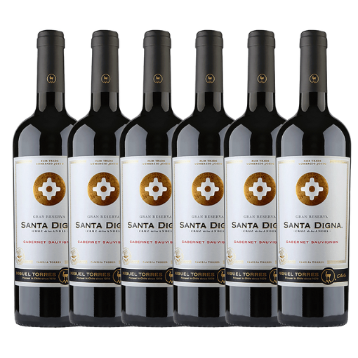Pack 6x Vino Santa Cruz Gran Reserva Cabernet Sauvignon 750cc