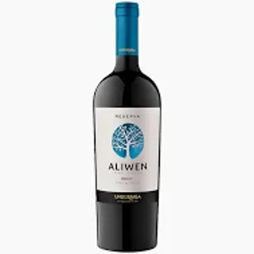 Vino Aliwen Reserva Merlot 14º 750cc 1