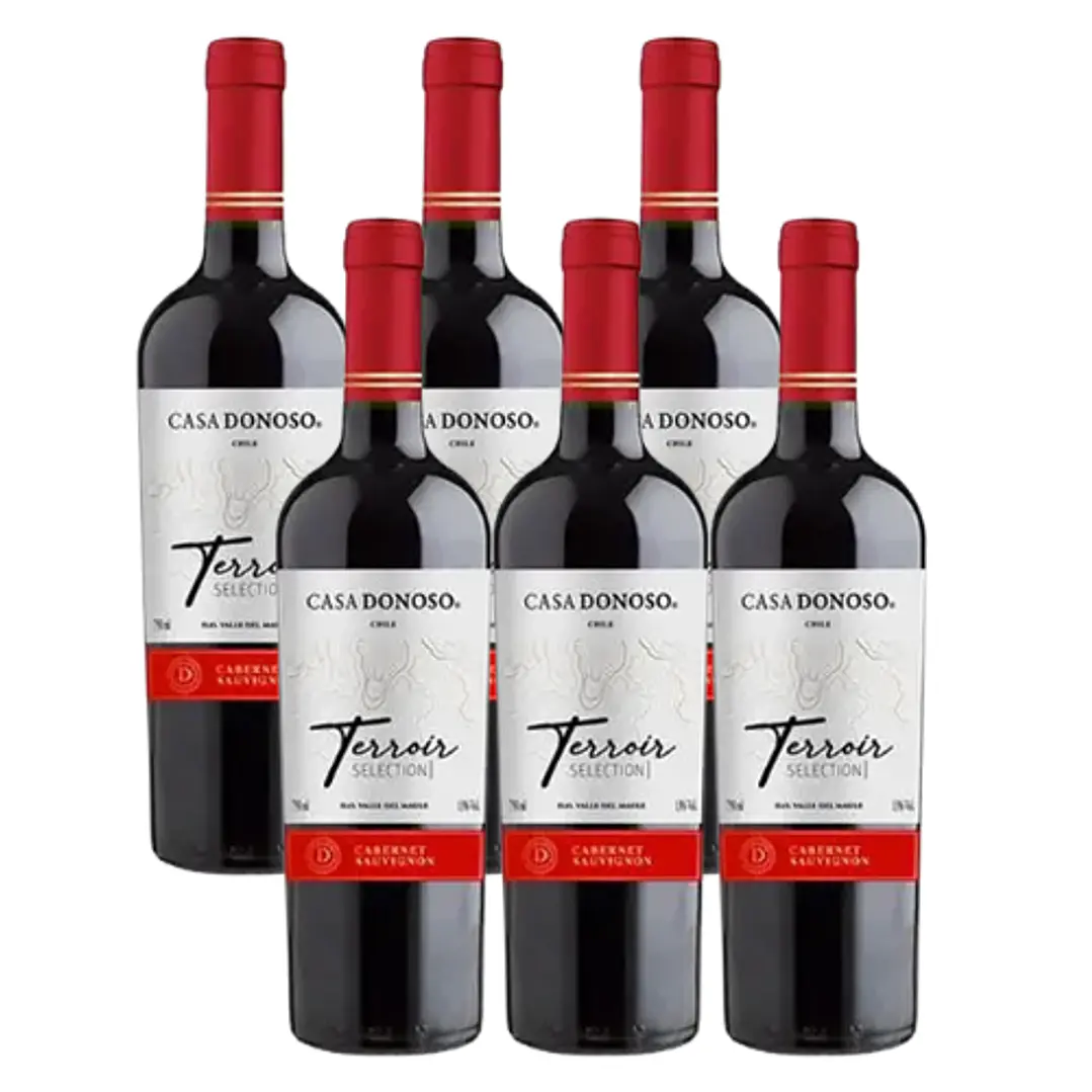 Pack x6 Vino Casa Donoso Terroir Reserva Cabernet Sauvignon ($3.650c/u) 1