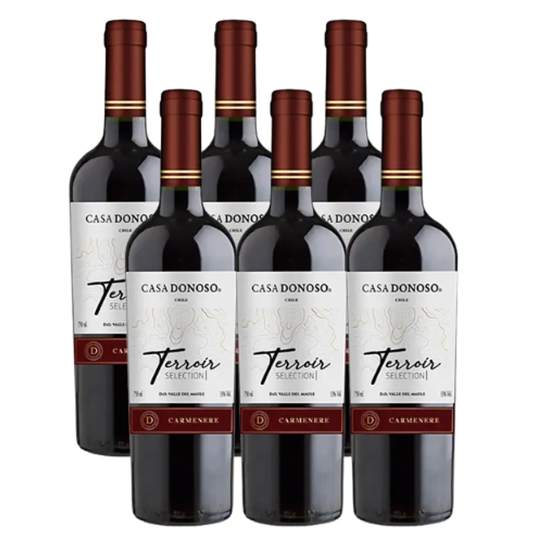 Pack x6 Vino Casa Donoso Terroir Reserva Carmenere 13º 750cc ($3.650c/u) 1