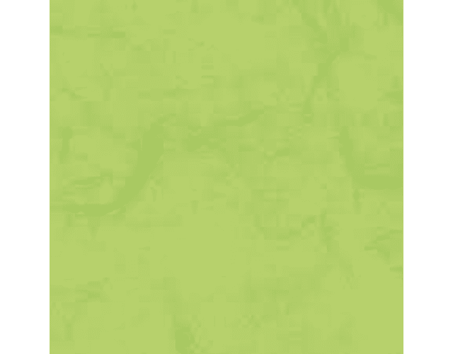 Pp arroz verde claro 60x60 hand*20