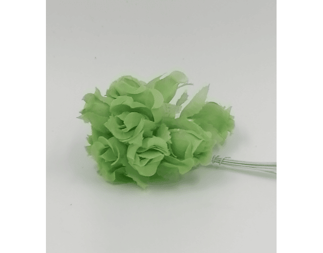 Besitos verde pistacho 3 dif 12un
