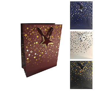 Bolsa regalo mediana estrellas metalicas 19,5x23.5x12-m12