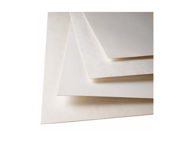 Carton forrado blanco reves blanco 2905gr 77x110 edipac*10*400