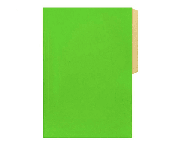 Carpeta cartulina pig verde cl halley-m10 (100)