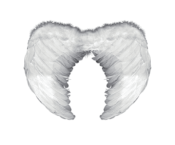 Alas de angel plumas blanco 60x45 -m3-10