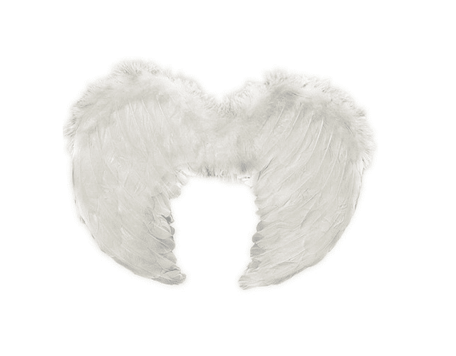 Alas de angel plumas blanco 80x60cm -m3-10