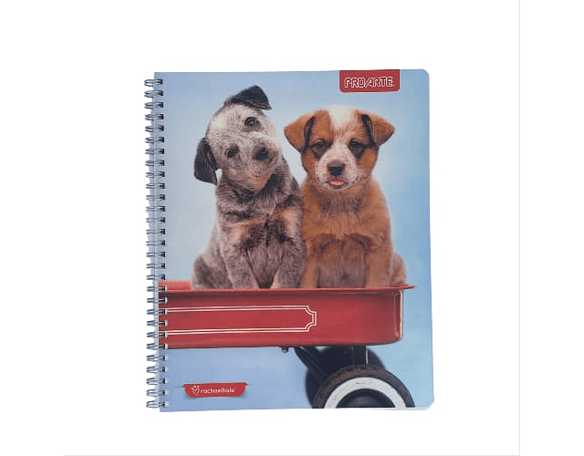 Cuaderno universitario 7mm 100hj tapa dura animales adorables proarte -m3-10-60