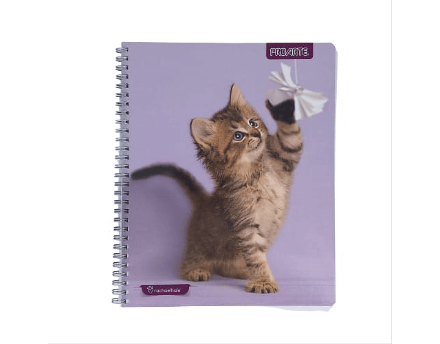 Cuaderno universitario 7mm 100hj tapa dura animales adorables proarte -m3-10-60
