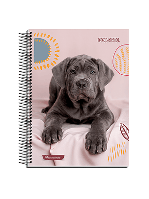 Cuaderno cuarta mat 7mm 150hjs animales adorables proarte