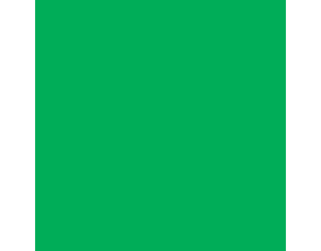 Cartulina verde oscuro pliego 150grs 50x70 importada -m10-100-300