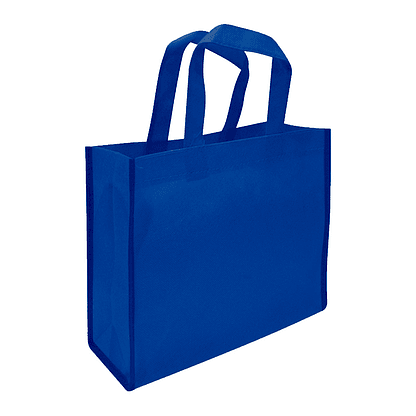 Bolsa Reutilizable TNT - 25 x 20 x 8 cms. 3