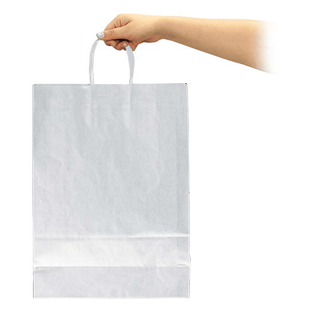 Bolsa Papel Kraft - 30 x 41 x 12 cms. 2