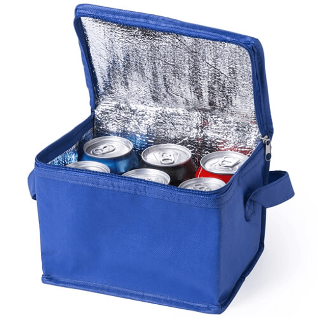 Nevera Lonchera Cooler Hertum  2