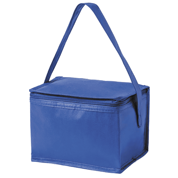 Nevera Lonchera Cooler Hertum  6