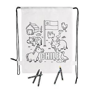 Pack 10 Mochilas Morral Wizzy