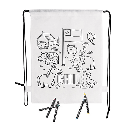 Pack 10 Mochilas Morral Wizzy 1