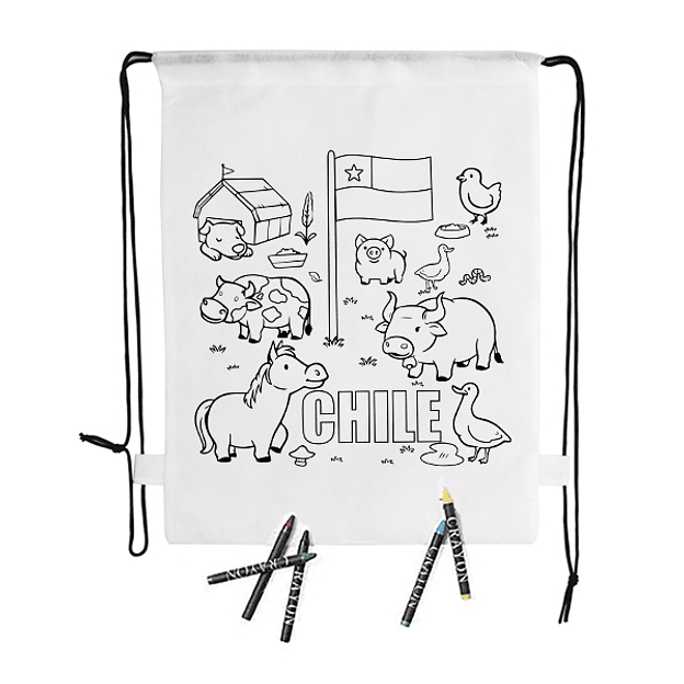 Pack 10 Mochilas Morral Wizzy 1