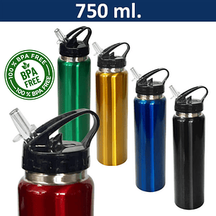Botella Acero Inoxidable 750 ml
