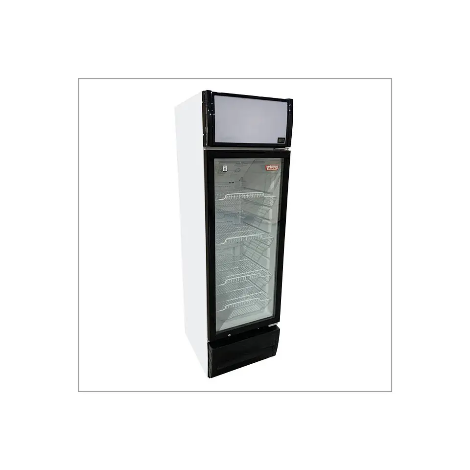 VISICOOLER 292LTS MAIGAS 2