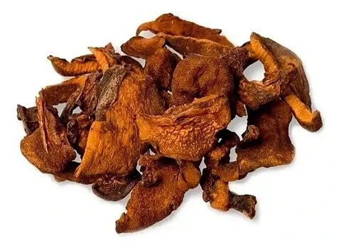 Callampas Deshidratadas 1 Kg.