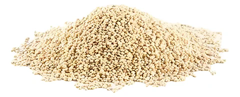 Quinoa Blanca 1 Kg.