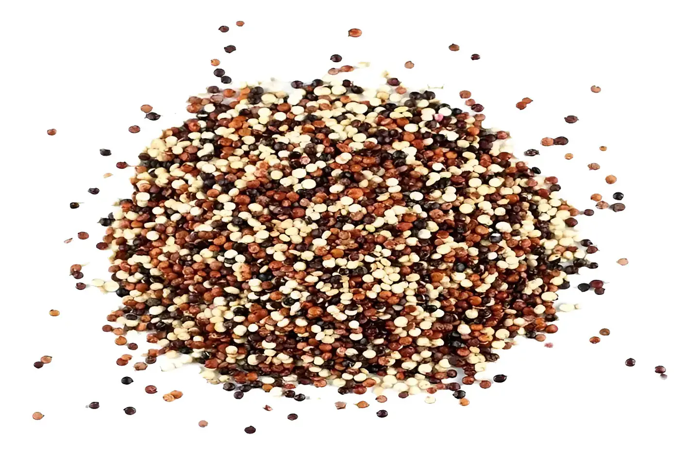 Quinoa Tricolor 1 Kg. 1