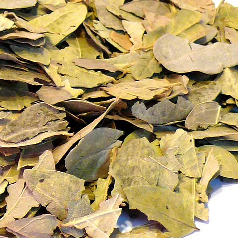 Boldo hoja 1 Kg.