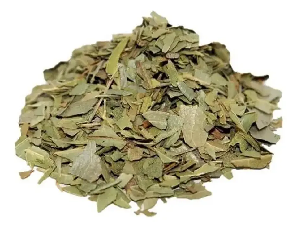 Boldo hoja 1 Kg. 2