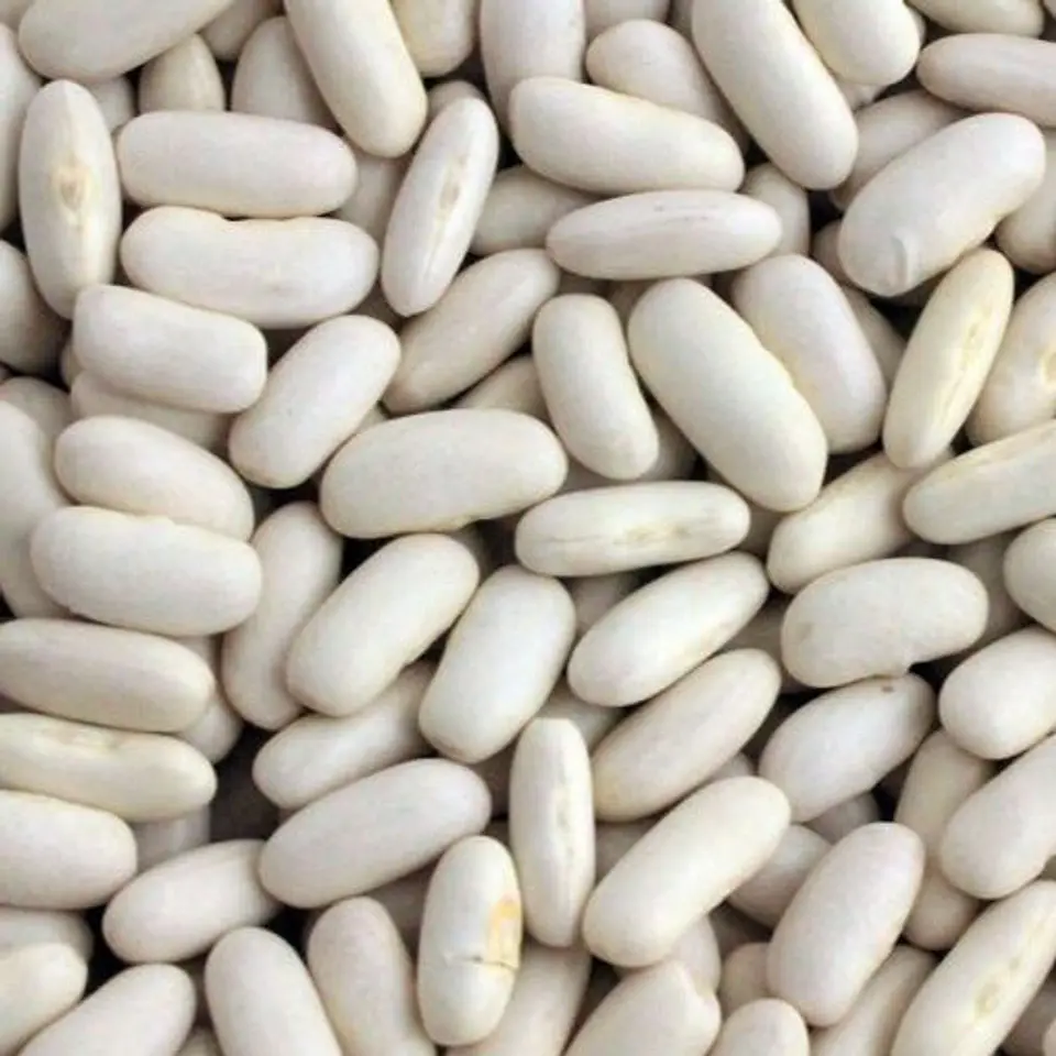 Poroto Alubia 1 Kg. 2