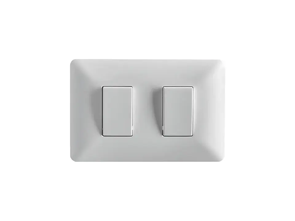 Interruptor doble (9/15) 10A 250V (blanco) 1
