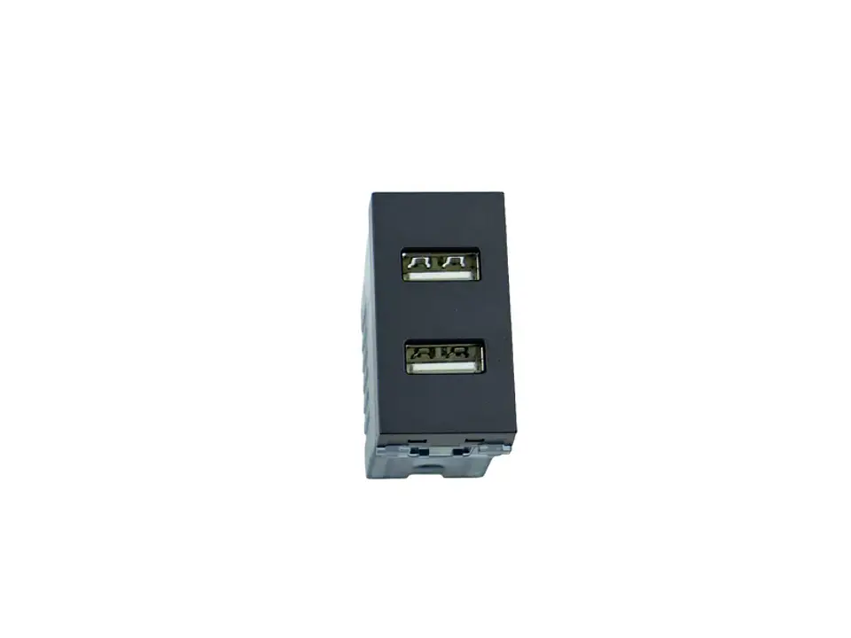 Módulo toma USB doble (grafito) 1