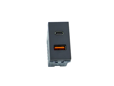 Módulo toma USB type A Y C (grafito)