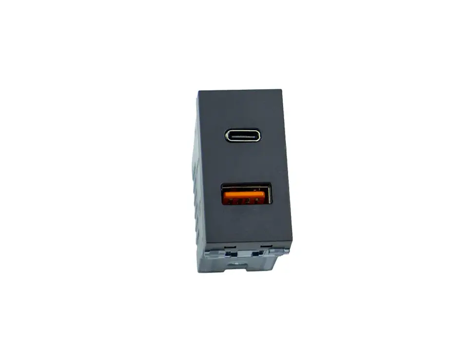 Módulo toma USB type A Y C (grafito) 1