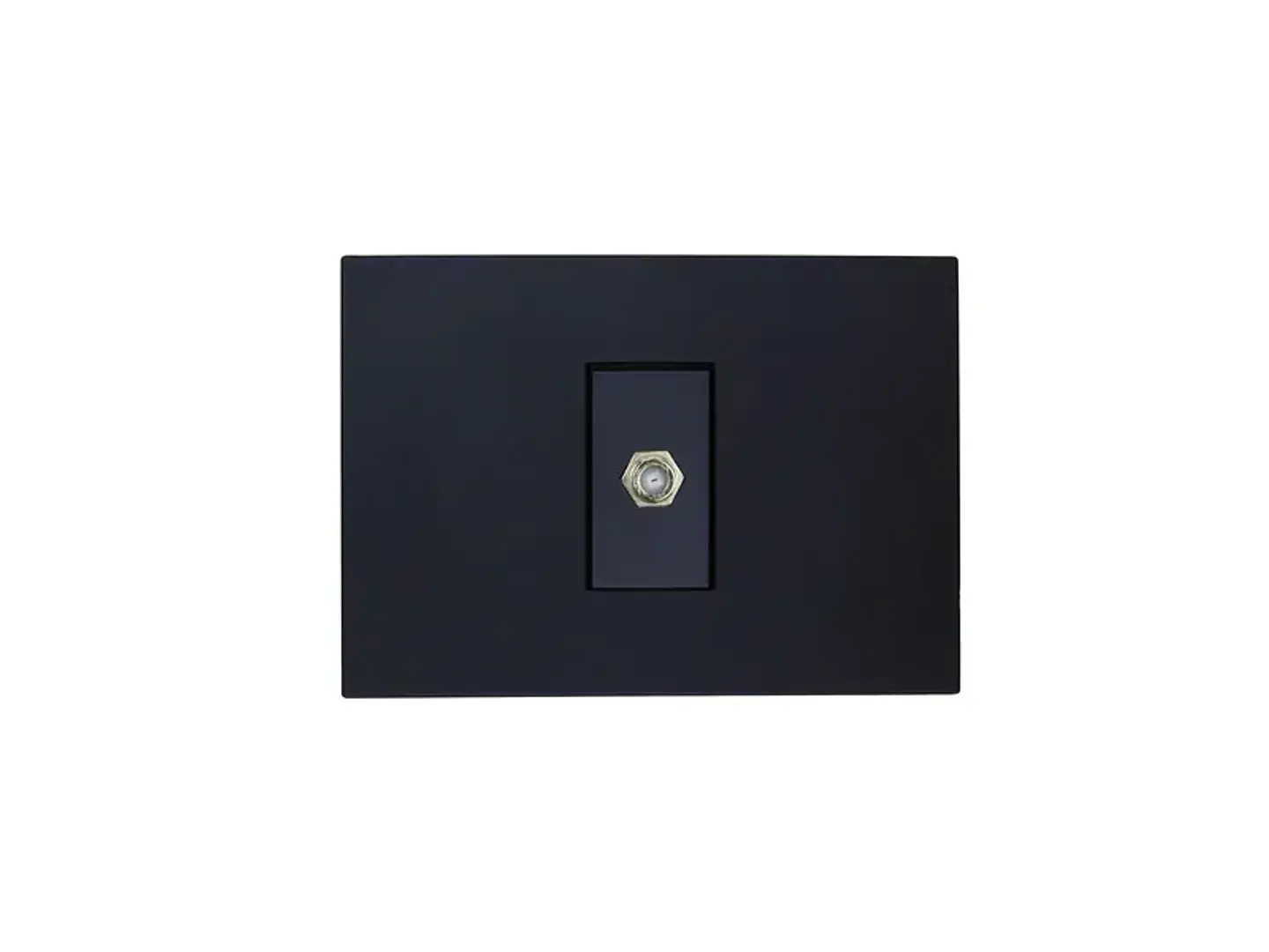Toma coaxial RG6 (negro) 1