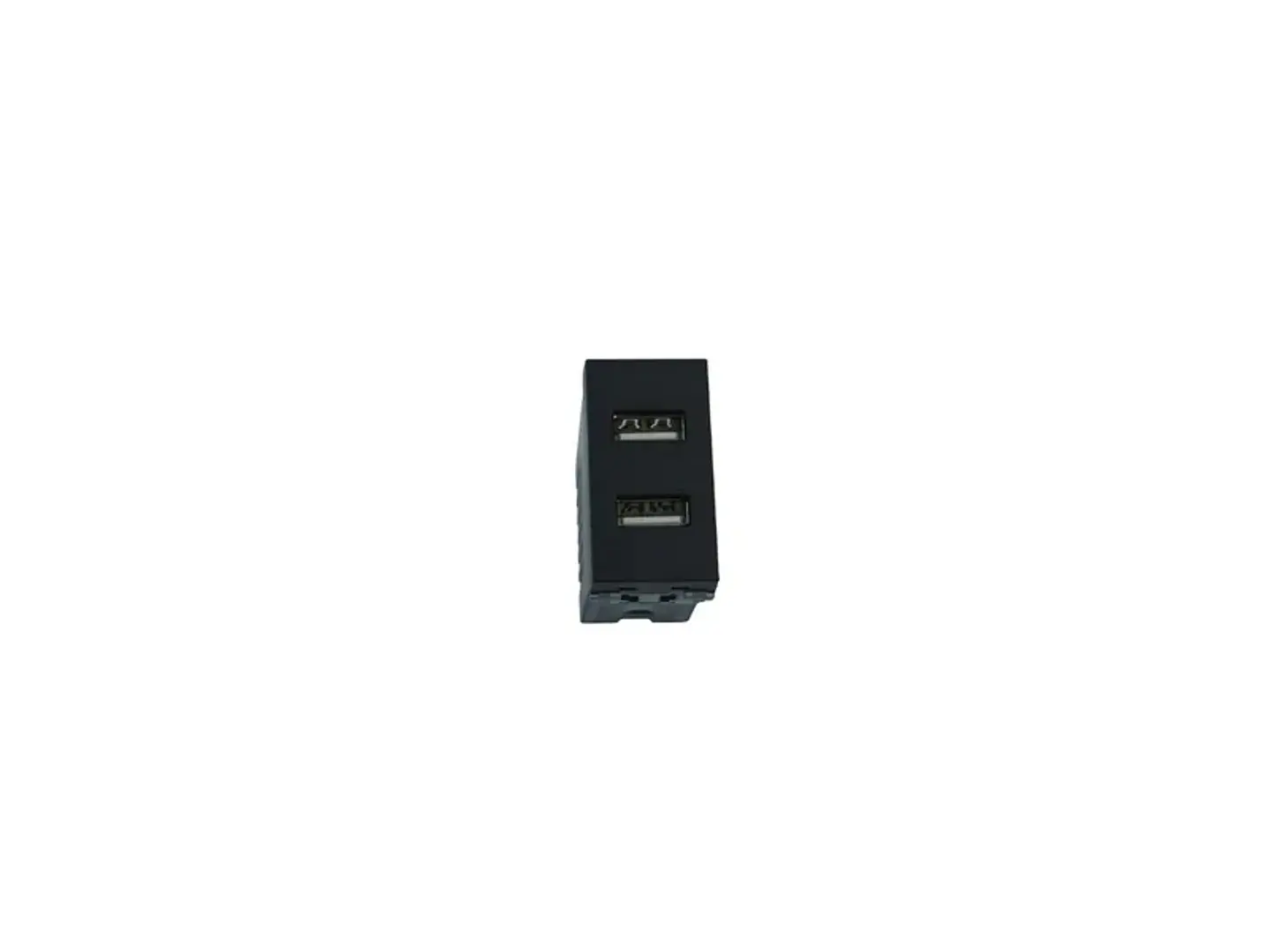 Módulo toma USB doble (negro) 1
