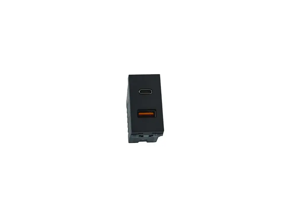Módulo toma USB type A Y C (negro) 1