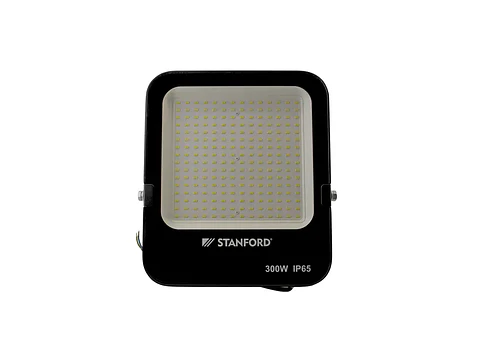 Proyector profesional 300W 6500K