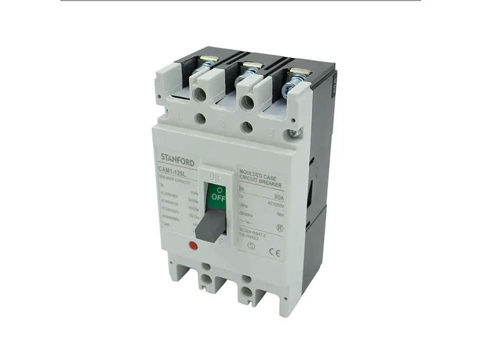 Interruptor DE caja moldeada fija (blanco) 125L 3P 100A 35KA 1
