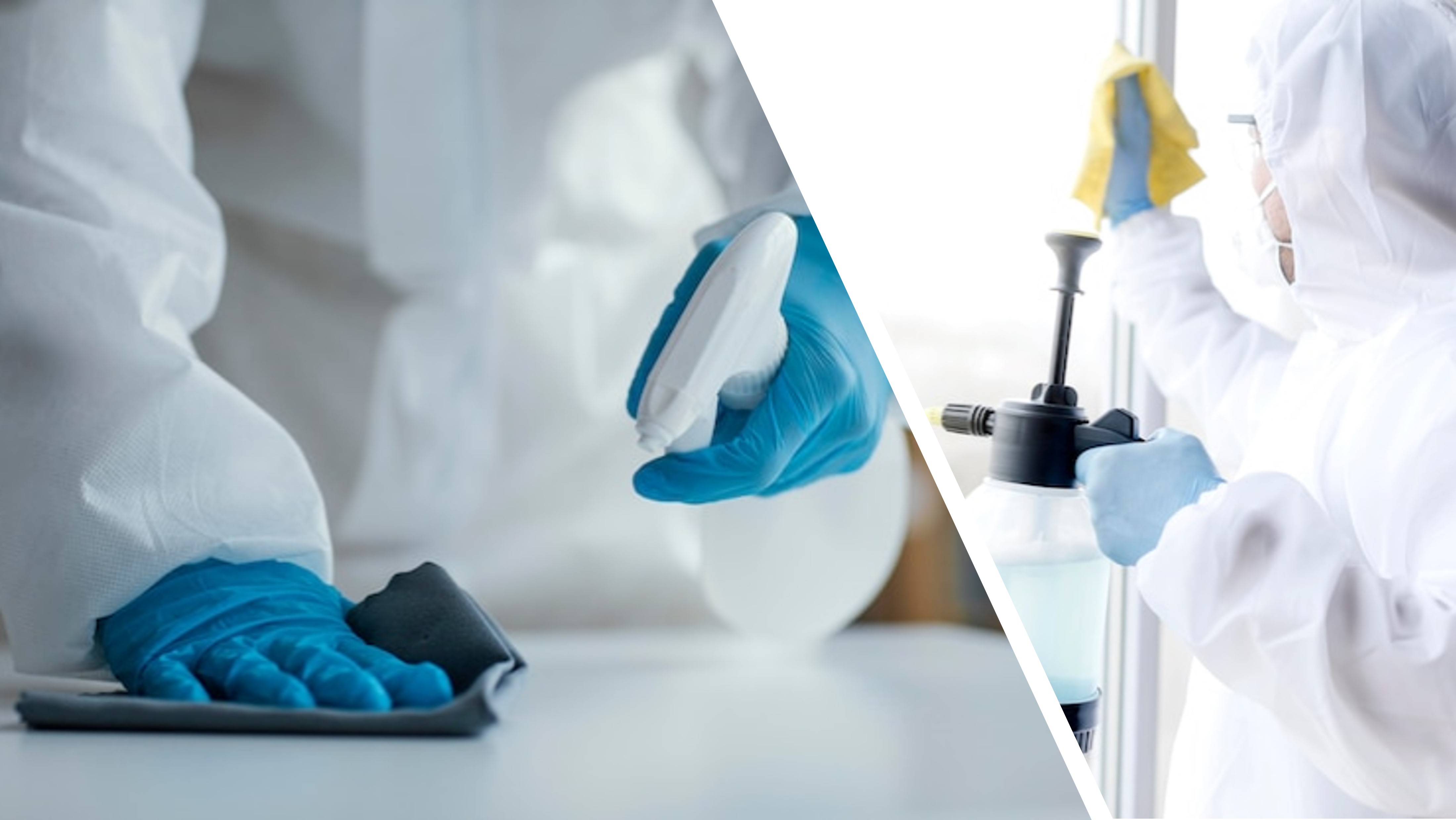 Desinfectantes / Sanitizantes
