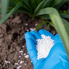 Usos y aplicaciones de la Urea en tu Jardín
