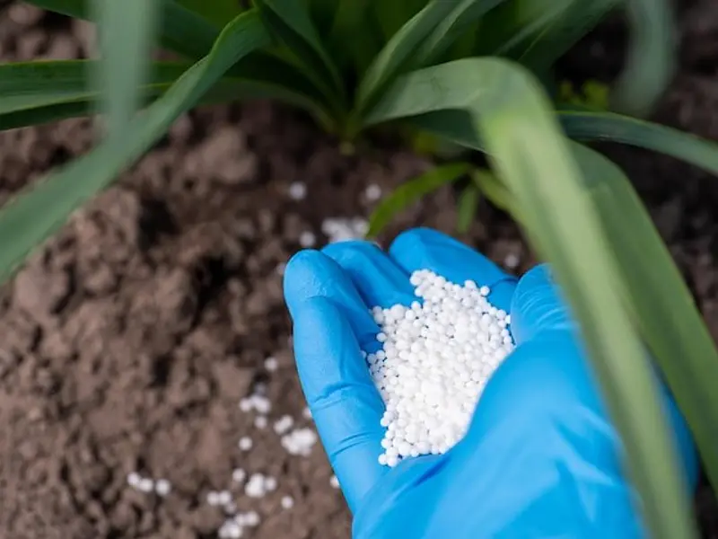 Usos y aplicaciones de la Urea en tu Jardín