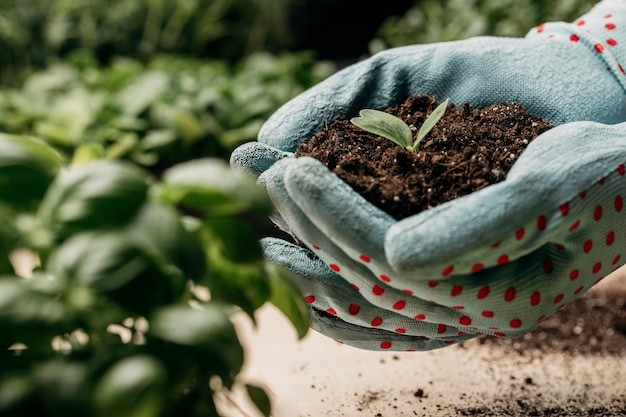 CUIDADO JARDIN / FERTILIZANTES Y BIOESTIMULANTES