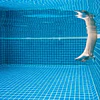 Sulfato de aluminio en piscinas y sulfato de cobre: para qué sirve y dosis