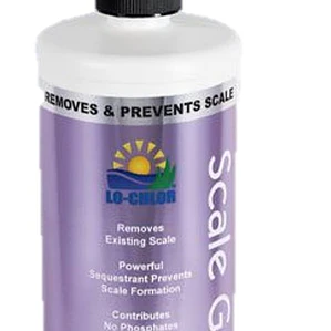 desincrusta y previene sarro para piscinas SCALE GONE 946 ml