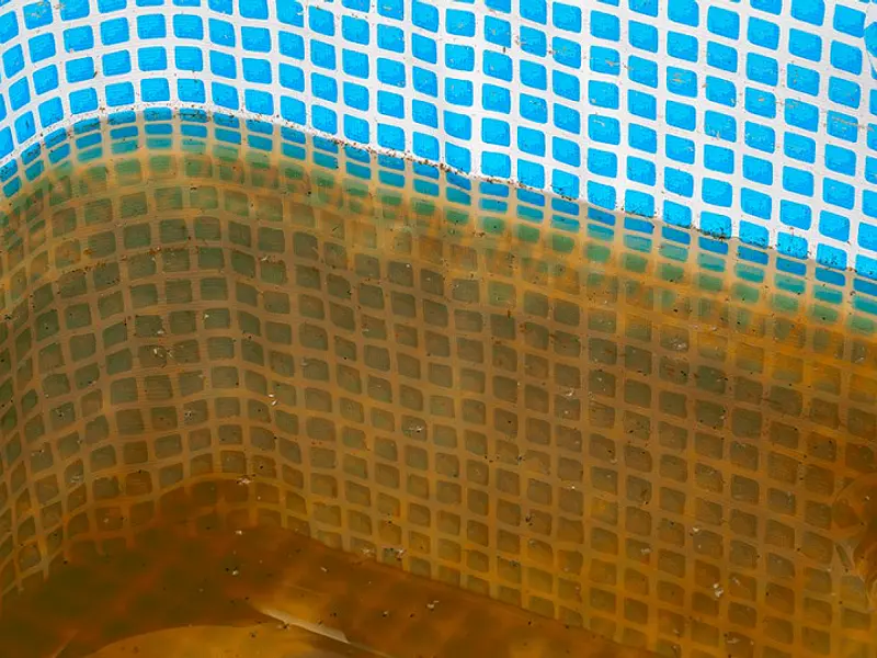 ¿Cómo eliminar los metales pesados del agua de mi piscina?