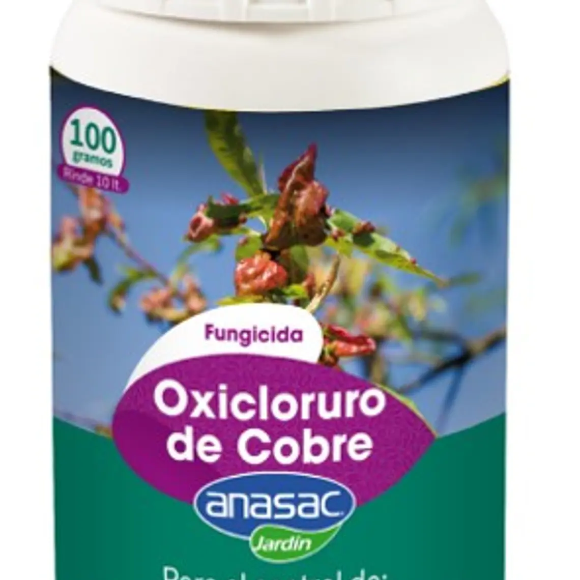 Oxicloruro de cobre fungicida preventivo y curativo 250 gr  1